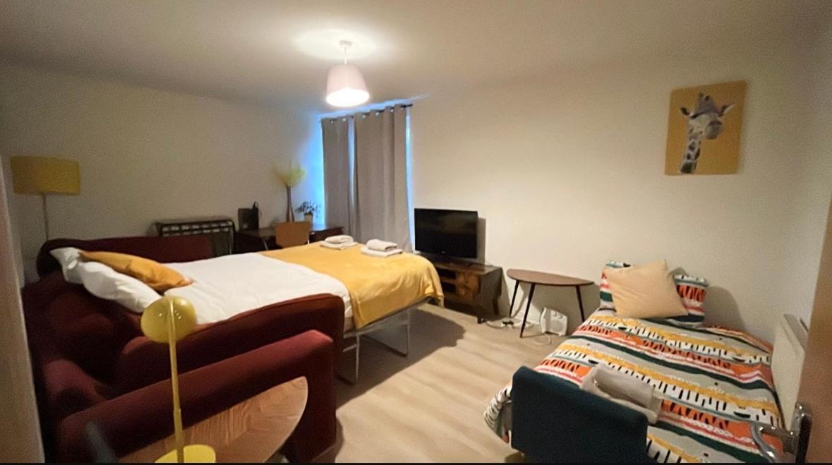 Spacious City Centre Flat Free Parking& Superfast Wifi Единбург Екстер'єр фото
